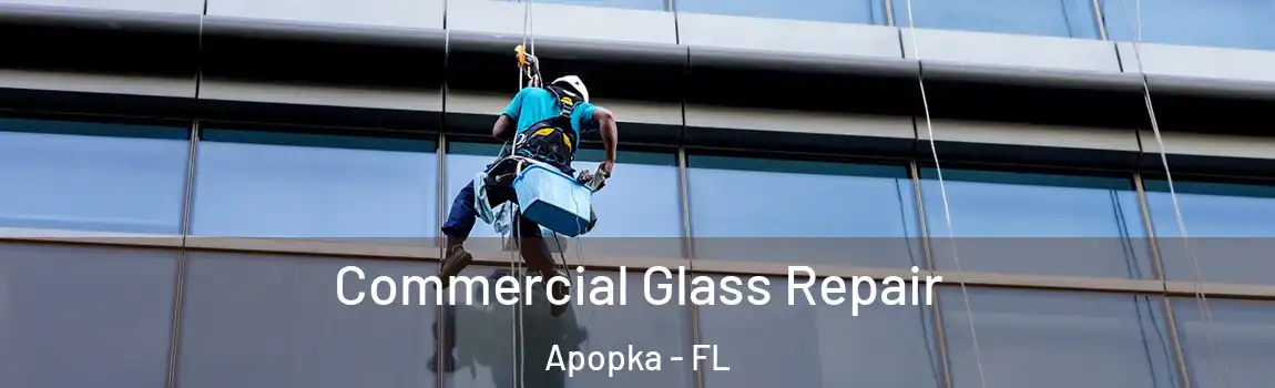 Commercial Glass Repair Apopka - FL
