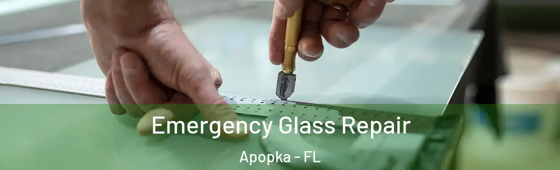 Emergency Glass Repair Apopka - FL