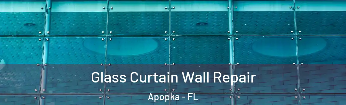 Glass Curtain Wall Repair Apopka - FL