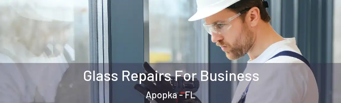 Glass Repairs For Business Apopka - FL