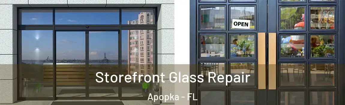 Storefront Glass Repair Apopka - FL
